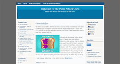 Desktop Screenshot of panicattackguru.com